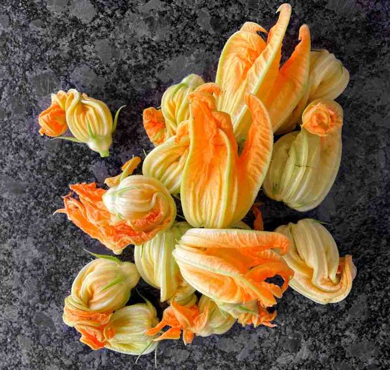 Fried Courgette Flowers Recipe Cuisine Fiend